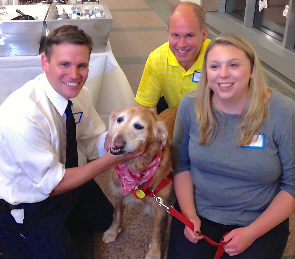 “Emma”, a 10-year-old Golden Retriever, had a maxillectomy four years ago to cure an oral tumor. Emma and her pet parents have attended all three “bashes.”