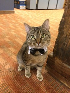Oliver dressed up for work