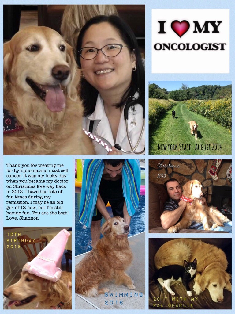 Shannon Oncology Dog_Dr. Kim_IMG_0461
