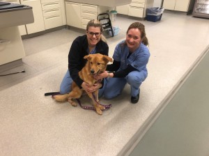 Maggie posing with Dr. Kelly Kraus (left) of the Surgery team and Dr. Barbara Maton (right) of the Emergency and Critical Care team.